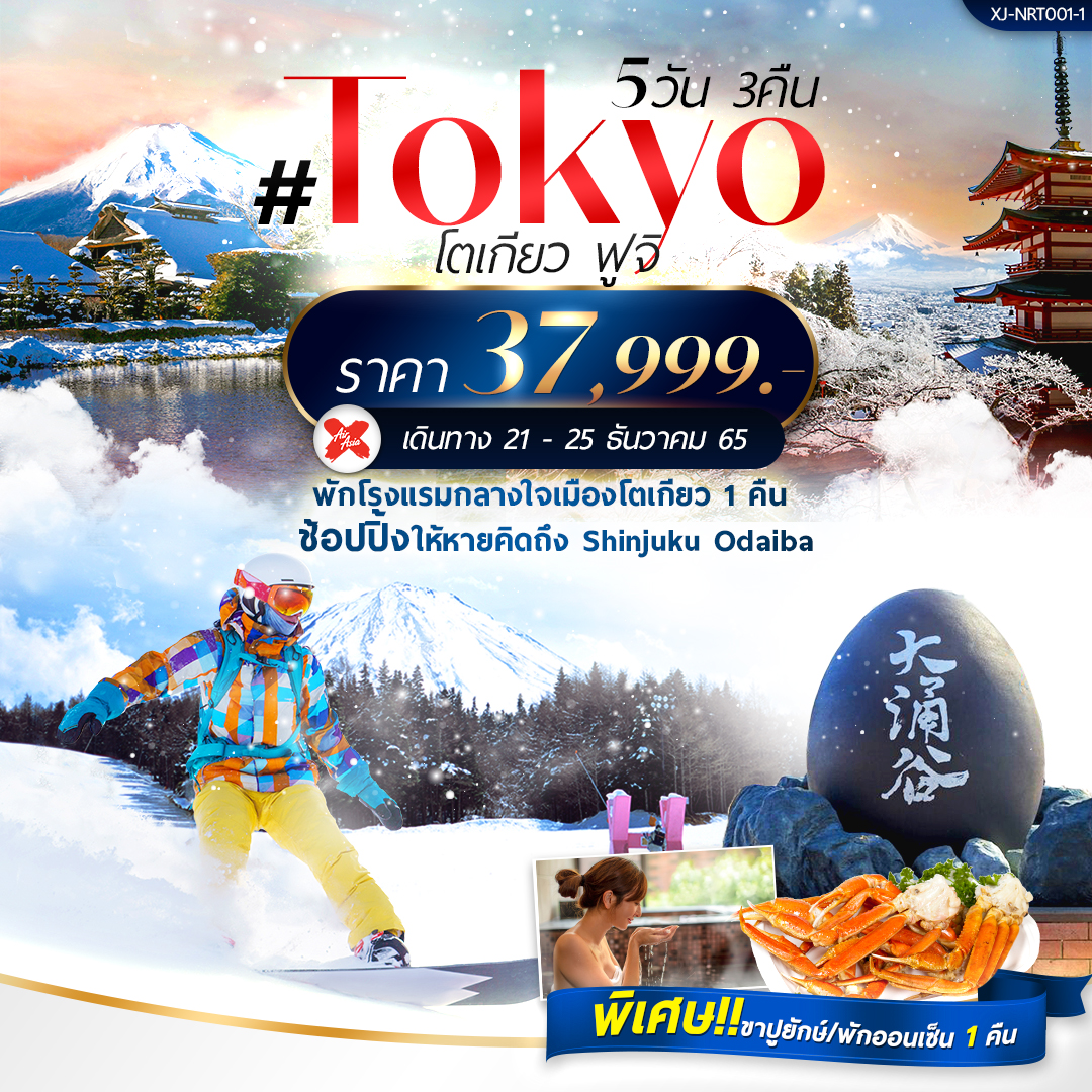 Tokyo – Fuji- Snow 5วัน 3คืน